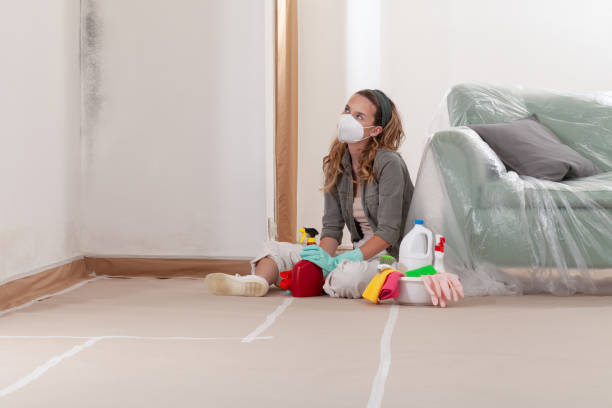Reliable Black Mold Removal contractor in Bellevue, MI by WQB Mold Removal